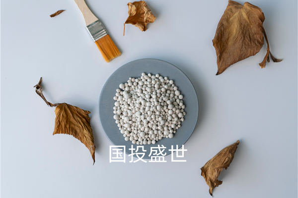 沸石分子篩干燥及凈化領域的應用，國投盛世