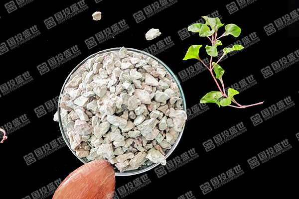 沸石在塑料生產中能否成為解決環境問題的關鍵材料？