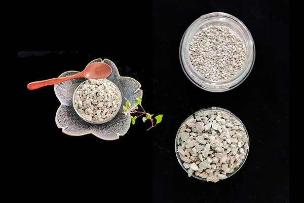 種植四季豆時(shí)加入沸石能提高產(chǎn)量嗎？